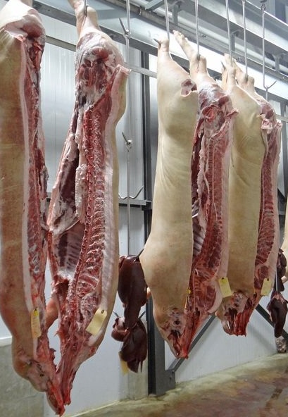What Is HACCP?
